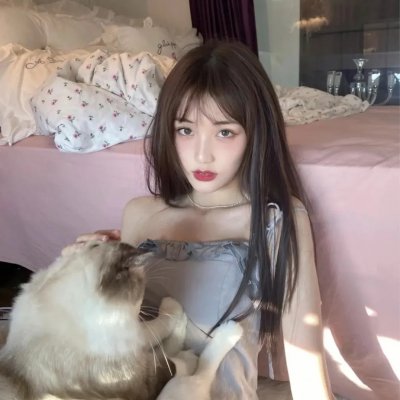 鸟儿们的奇幻冒险